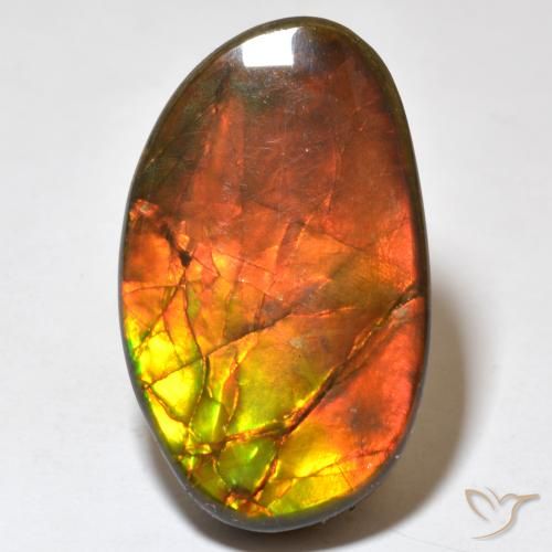 21.93ct Natural Multicolor amolita, Elegante, Opaco