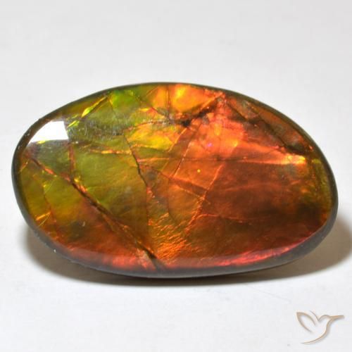 amolita Multicolor natural de 21.93 ct, Elegante, Opaco