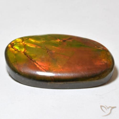 amolita Multicolor natural de 21.93 ct, Elegante, Opaco