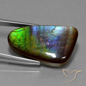 amolita Multicolor natural de 22.78 ct, Elegante, Opaco