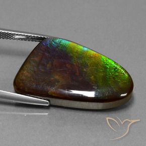 amolita Multicolor natural de 22.78 ct, Elegante, Opaco
