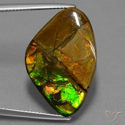 18.98ct Natural Multicolor amolita, Elegante, Opaco