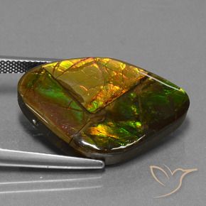 amolita Multicolor natural de 18.98 ct, Elegante, Opaco