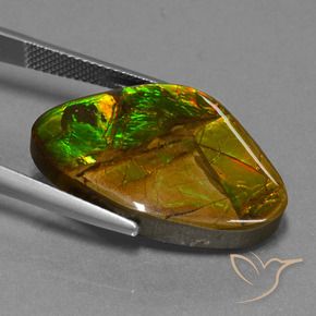 amolita Multicolor natural de 18.98 ct, Elegante, Opaco