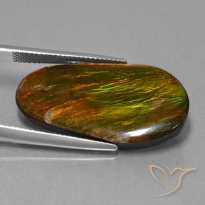 amolita Multicolor natural de 18.71 ct, Elegante, Opaco