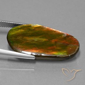 amolita Multicolor natural de 18.71 ct, Elegante, Opaco