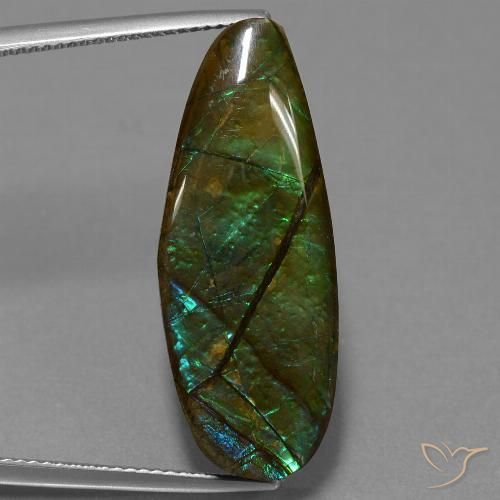 14.36ct Natural Multicolor amolita, Elegante, Opaco, Photo A