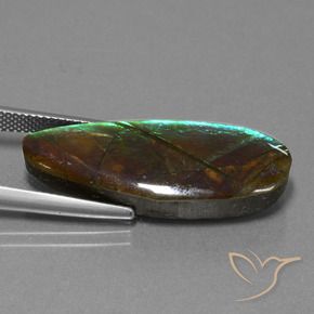 amolita Multicolor natural de 14.36 ct, Elegante, Opaco