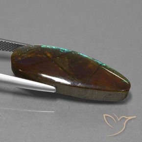amolita Multicolor natural de 14.36 ct, Elegante, Opaco