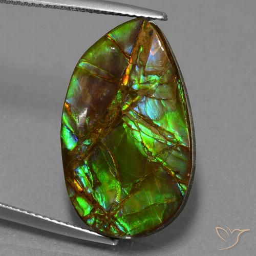 18.19ct Natural Multicolor amolita, Elegante, Opaco