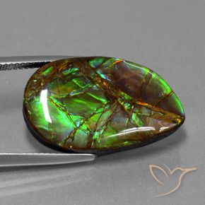 amolita Multicolor natural de 18.19 ct, Elegante, Opaco