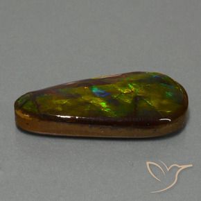 amolita Multicolor natural de 21.09 ct, Elegante, Opaco