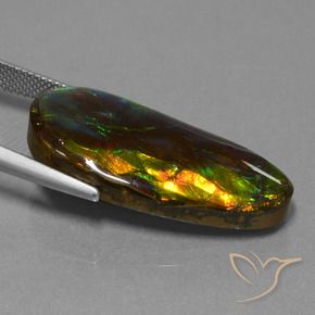 amolita Multicolor natural de 21.09 ct, Elegante, Opaco