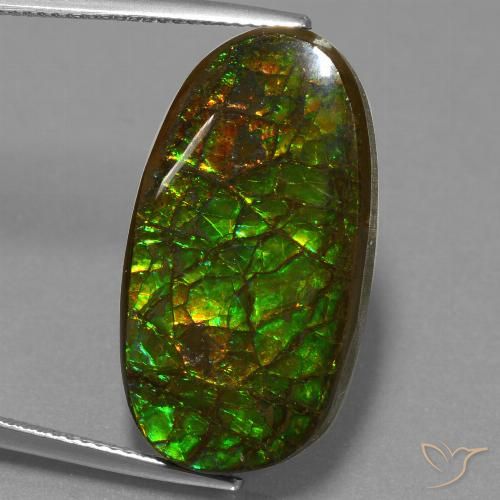 21.50ct Natural Multicolor amolita, Elegante, Opaco