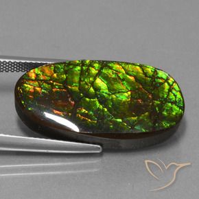amolita Multicolor natural de 21.50 ct, Elegante, Opaco