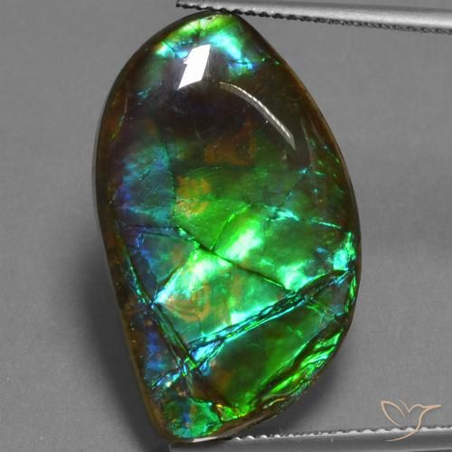 17.95ct Natural Multicolor amolita, Elegante, Opaco
