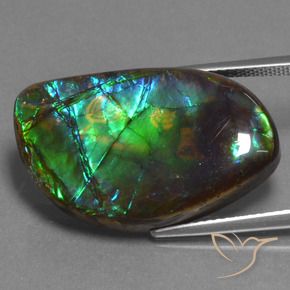 amolita Multicolor natural de 17.95 ct, Elegante, Opaco