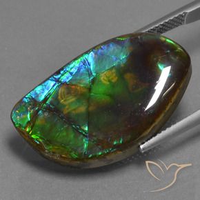 amolita Multicolor natural de 17.95 ct, Elegante, Opaco