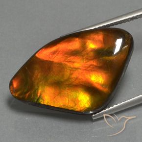 amolita Multicolor natural de 17.24 ct, Elegante, Opaco