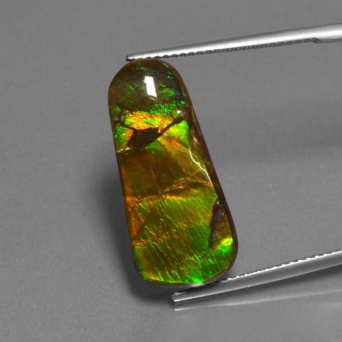 Ammolita multicolor natural de 11,73 ct, forma elegante, opaco