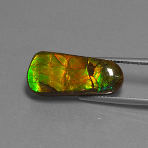 Ammolita multicolor natural de 11,73 ct, forma elegante, opaco