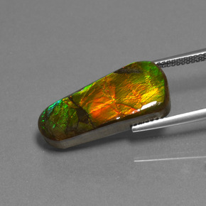 Ammolita multicolor natural de 11,73 ct, forma elegante, opaco