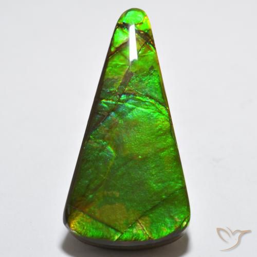 15.83ct Natural Multicolor amolita, Trillón, Opaco