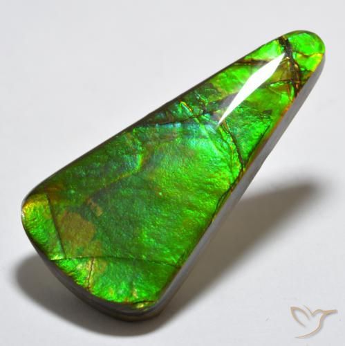 amolita Multicolor natural de 15.83 ct, Trillón, Opaco