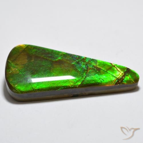amolita Multicolor natural de 15.83 ct, Trillón, Opaco