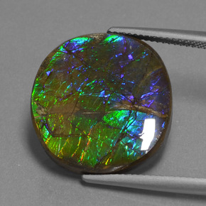 Ammolita multicolor natural de 16,73 ct, corte óvalo, opaco