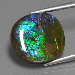 Ammolita multicolor natural de 16,73 ct, corte óvalo, opaco