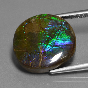 Ammolita multicolor natural de 16,73 ct, corte óvalo, opaco