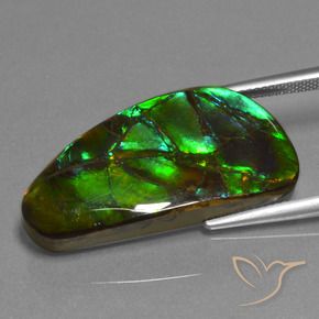 amolita Multicolor natural de 23.45 ct, Elegante, Opaco