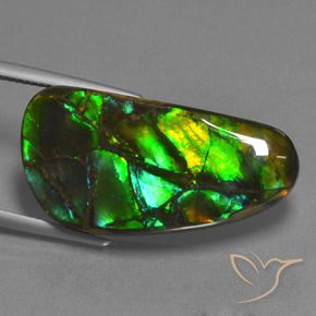amolita Multicolor natural de 23.45 ct, Elegante, Opaco