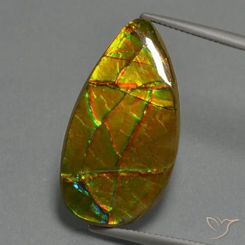 Ammolita multicolor natural de 19,40 ct, forma elegante, opaco