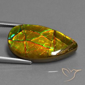 Ammolita multicolor natural de 19,40 ct, forma elegante, opaco