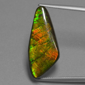 Ammolita multicolor natural de 15,14 ct, forma elegante, opaco