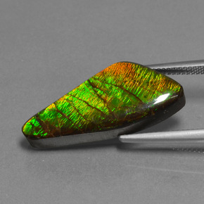 Ammolita multicolor natural de 15,14 ct, forma elegante, opaco