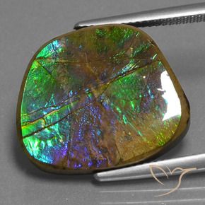 amolita Multicolor natural de 14.96 ct, Elegante, Opaco