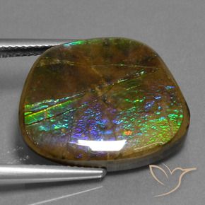 amolita Multicolor natural de 14.96 ct, Elegante, Opaco