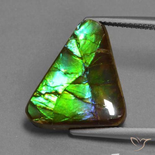 11.30ct Natural Multicolor amolita, Trillón, Opaco