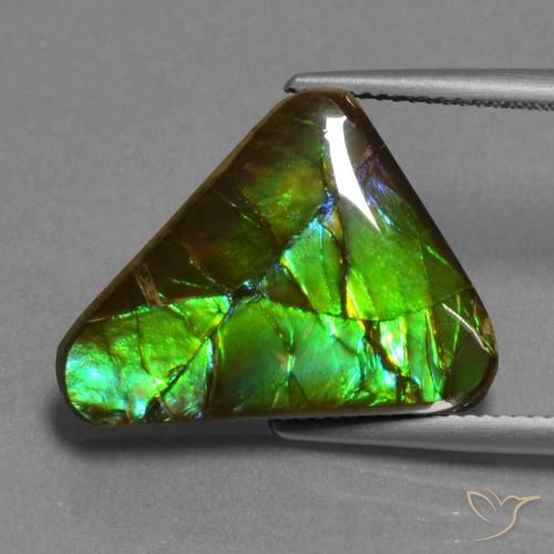 amolita Multicolor natural de 11.30 ct, Trillón, Opaco