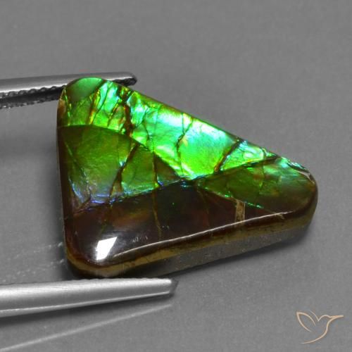 amolita Multicolor natural de 11.30 ct, Trillón, Opaco