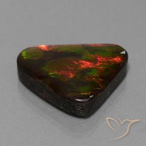 amolita Multicolor natural de 22.44 ct, Trillón, Opaco