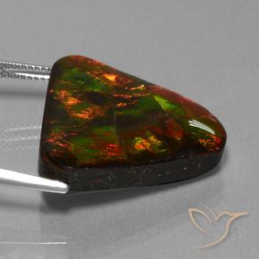 amolita Multicolor natural de 22.44 ct, Trillón, Opaco