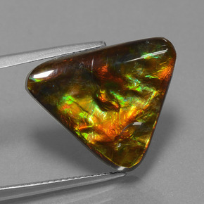Ammolita multicolor natural de 11,38 ct, trillón, opaco