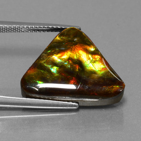 Ammolita multicolor natural de 11,38 ct, trillón, opaco