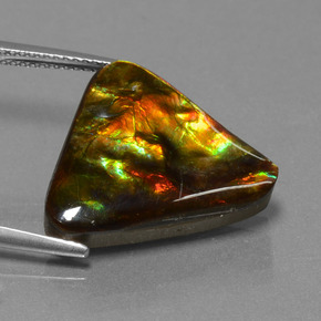 Ammolita multicolor natural de 11,38 ct, trillón, opaco