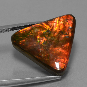 Ammolita multicolor natural de 14,28 ct, trillón, opaco