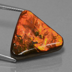 Ammolita multicolor natural de 14,28 ct, trillón, opaco